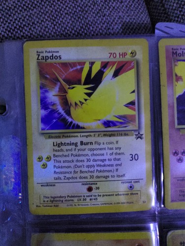 Moltres and zapdos 23 - moltres, #23