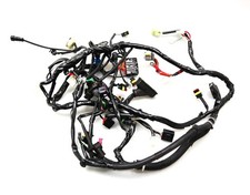 Câble Principal Câblage