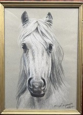 Le cheval camarguais - Aimé Moret - Mine de plomb et craie