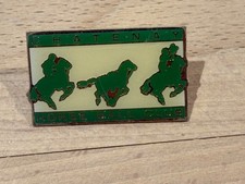 a PINS PIN CHEVAL HORSE