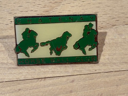 Pins pin cheval horse - pins,