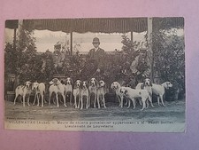 CPA ,VILLENAUXE LA GRANDE (AUBE),chenil De Mr BAILLET meute De CHIENS Porcelaine