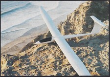 Géant Guêpe W-21 Haute