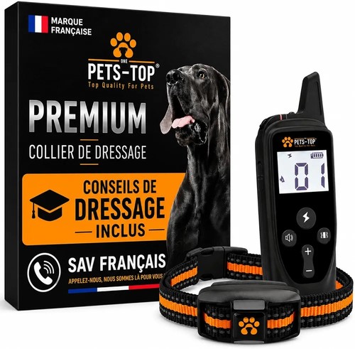 Collier dressage pour chien - collier,