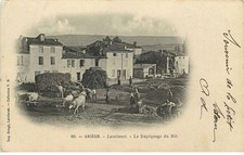 ARIEGE LAVELANET  le depiquage du blé