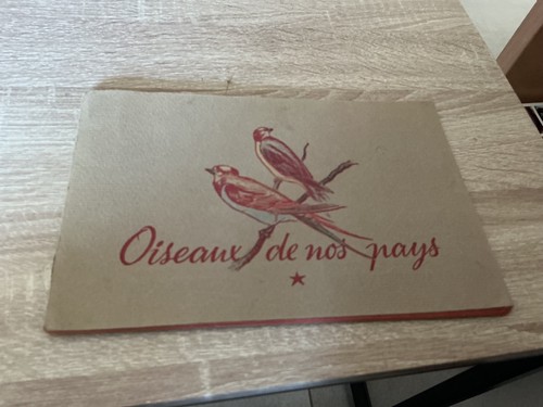 Oiseaux nos pays vache - de,
