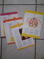 Lot de 18 fiches thème SANTE