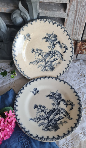 Anciennes petites assiettes - anciennes,