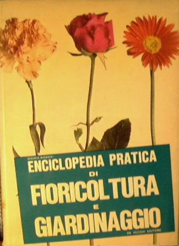 Encyclopédie pratique - encyclopédie,