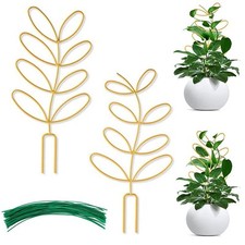 Lot de 2 supports pour plantes en métal treillis pour plantes grimpantes dans j