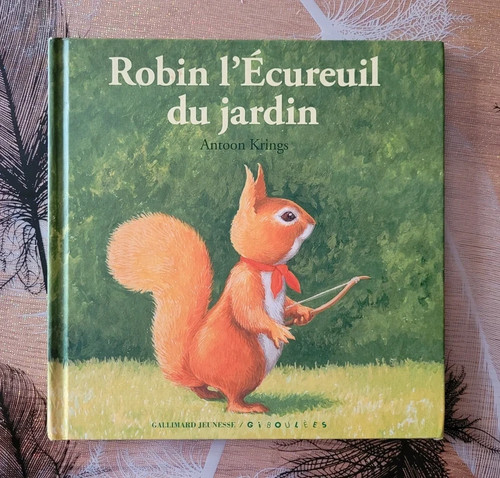 Robin écureuil jardin - robin, du