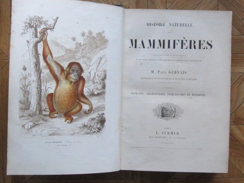 Histoire naturelle des