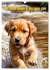 La nouvelle année avec les