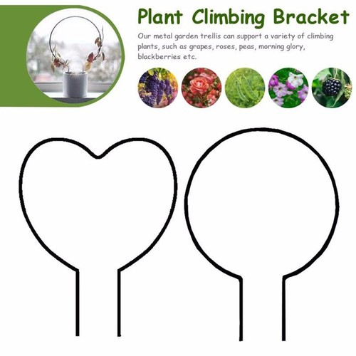 Supports plantes grimpantes - plantes,