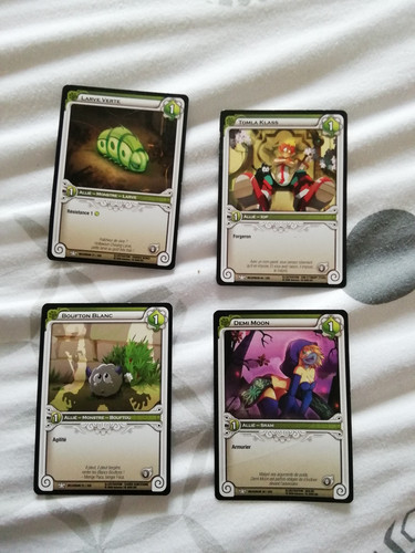 Lot carte wakfu - carte,