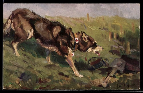 Chien santé travail - chien, de