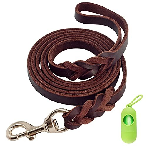 Laisse cuir pour - cuir,