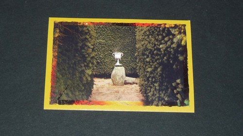 178 panini harry - n°178,