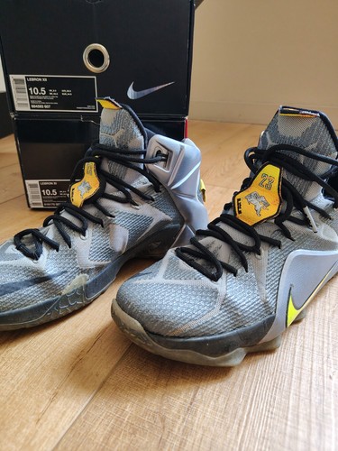 Nike lebron flight taille - 12,