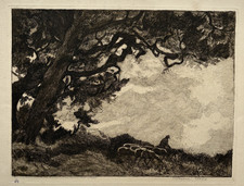 Troupeau Brebis GRAVURE Eau