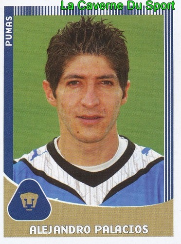 231 alejandro palacios mexico - 231,