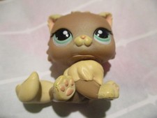 Petshop Chat Persan #1063