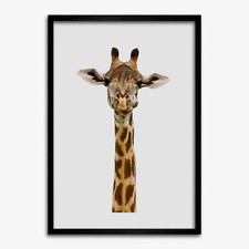 Photo 50x70cm MDF Cadre Le