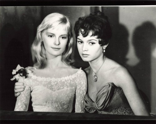 Brigitte bardot photo cinema - brigitte,