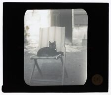 Chat sur une chaise Plaque de projection pour Lanterne magique PL58L21n17 