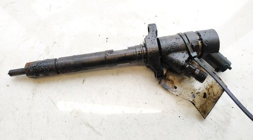 Peugeot 407 2005 - , injector