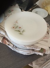 Lot 6 assiettes plates