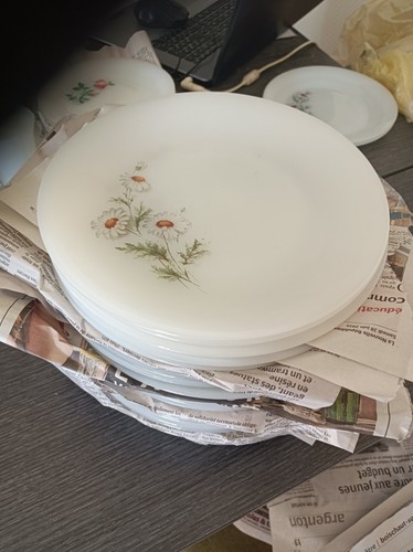 Lot assiettes plates - assiettes,