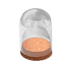 Présentoir mini-cloche de 4 pouces, couvercle Doom, bocal, base en bois,