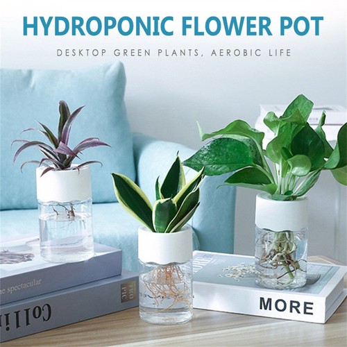 Pots plantes utiles - pots,