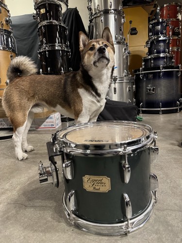 Pearl export series - pearl,