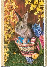 Animaux - Lapins - CPM - Voir