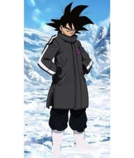 Dragon Ball Goku SAB Coat