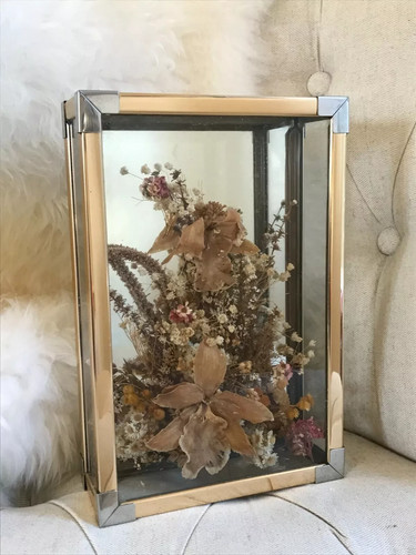 Ancien vitrine - 1, ⚜️