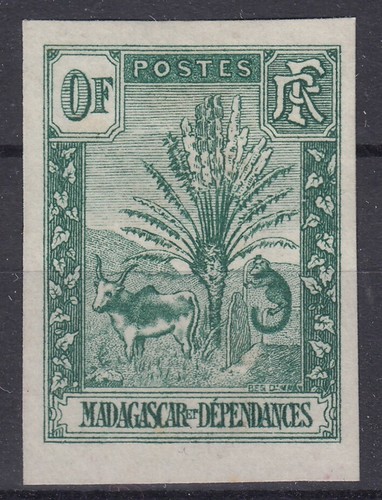 Madagascar zebu ravenala essai - zebu,