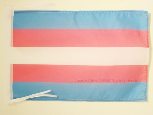 Drapeau arc ciel transgenre - drapeau, arc-en-ciel