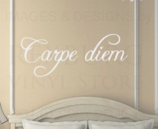 Wall Quote Decal Sticker Vinyl Art Lettering Mural Carpe Diem Seize the Day IN21