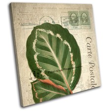 Green Leaf Tropical Vintage