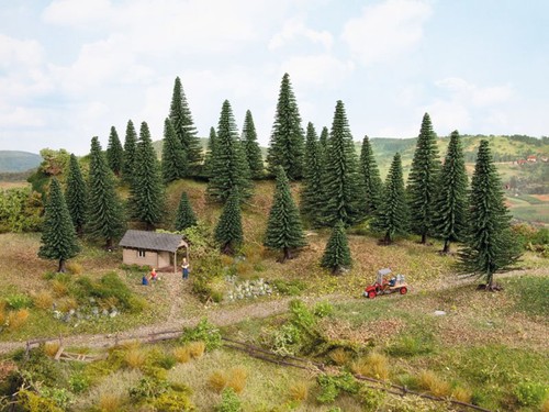 Noch 10x sapins cm - -,