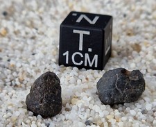 Meteorite Carbonnée CM2 NWA 16452