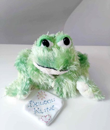 Peluche doudou grenouille vert - grenouille,
