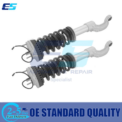 Pair front shock strut - pair,