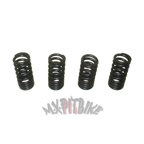Valve springs for - for, daytona