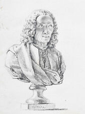 Buste VOLTAIRE Portrait DESSIN ORIGINAL XIX° (?)