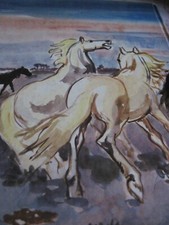 Caprice cheval camargue - cheval,