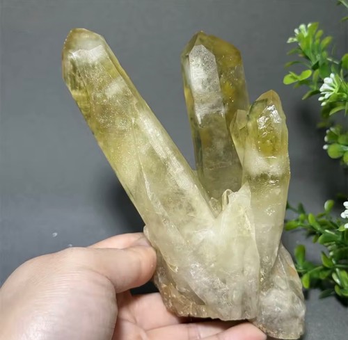 Cluster citrine jaune - cluster,